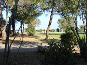 Argelès - T2 avec Coin Cabine - À 2 pas du port et de la plage - FR-1-309-254